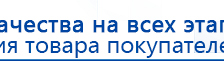 ДЭНАС-ПКМ (Детский доктор, 24 пр.) купить в Белореченске, Аппараты Дэнас купить в Белореченске, Официальный сайт Дэнас kupit-denas.ru